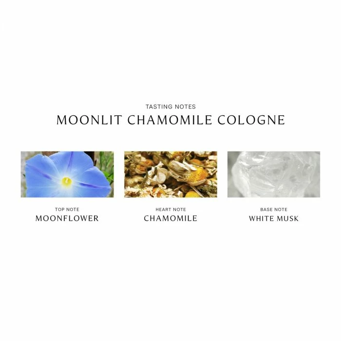 Cheapest ๐ Jo Malone London Moonlit Chamomile Cologne ๐ - Image 2